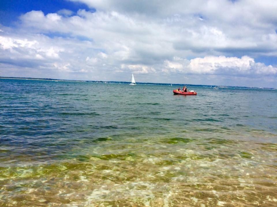 プール Bungalows Near Sandbanks Beachヴィラ エクステリア 写真