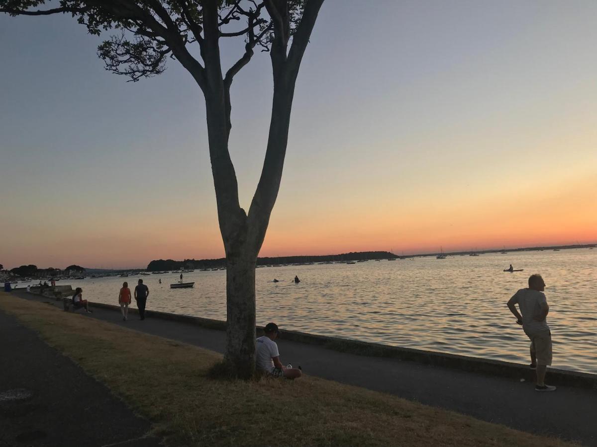 プール Bungalows Near Sandbanks Beachヴィラ エクステリア 写真