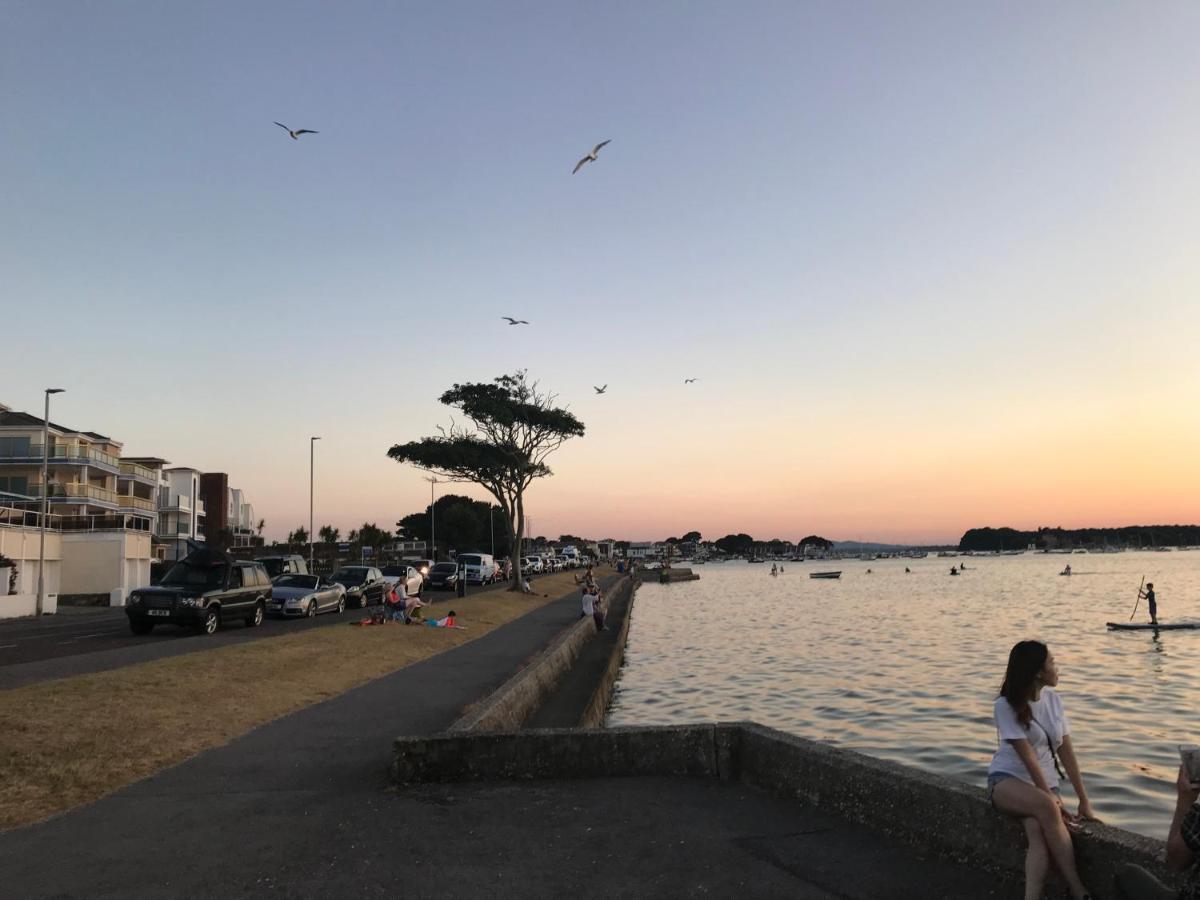 プール Bungalows Near Sandbanks Beachヴィラ エクステリア 写真